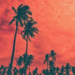 Meet your Posher, Philip